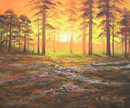  (50 x 60)