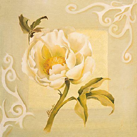 Peonia 1ZD