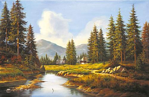 Smrky nad řekou