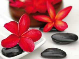 Flower and stone 4