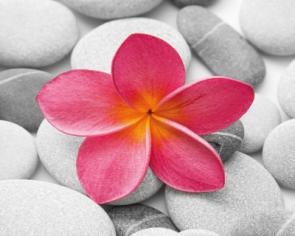 Flower and stone 3