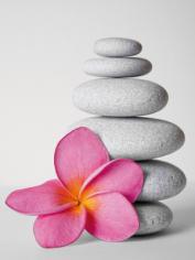 Flower and stone 6