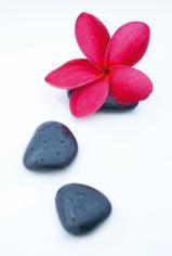 Flower and stone 7