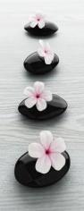 Flower and stone 1