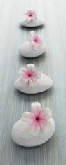 Flower and stone 2