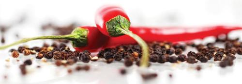 Chilli & pepř