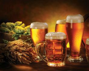 Pivo