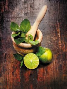 Limeta & máta