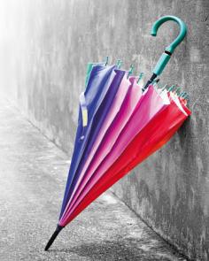 Umbrella