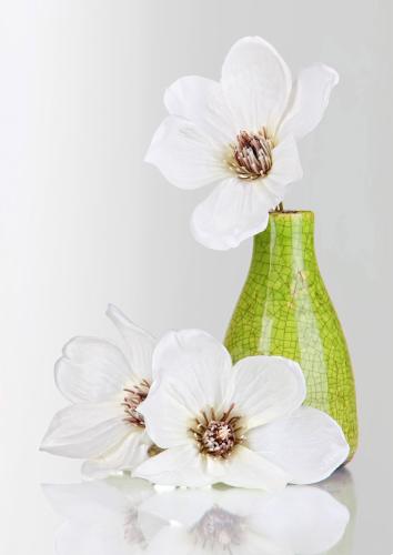 Flower 13