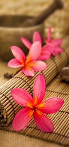 Bamboo mat 2