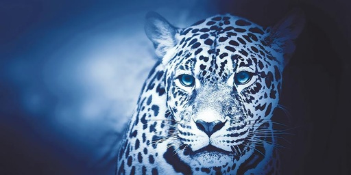 Leopard 2