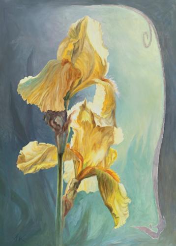 Iris žlutý II
