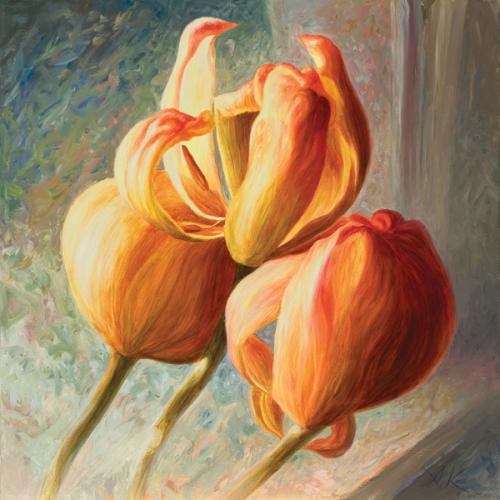 Tulipán II
