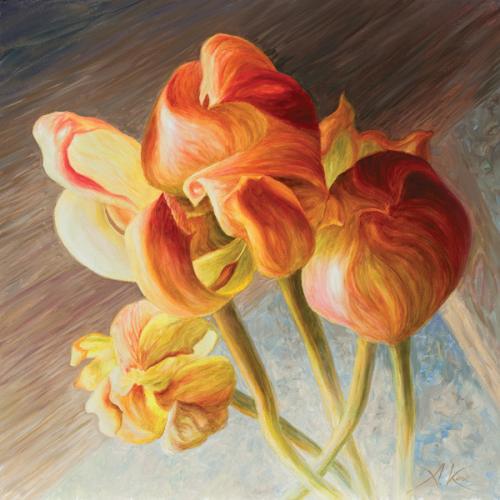 Tulipán III