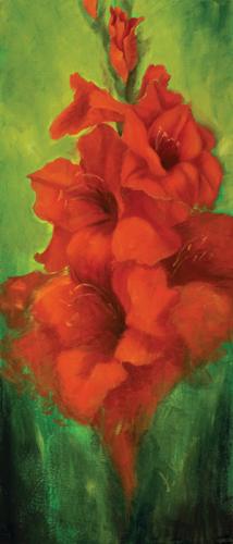 Červená gladiola