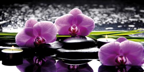 Spa still life with set of pink orchid and stones 