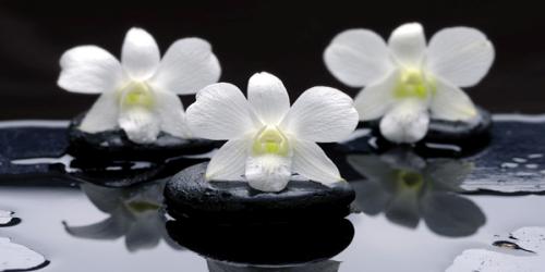 Spa 2