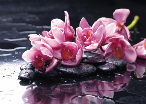 Flower 6
