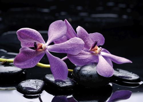 Flower 5